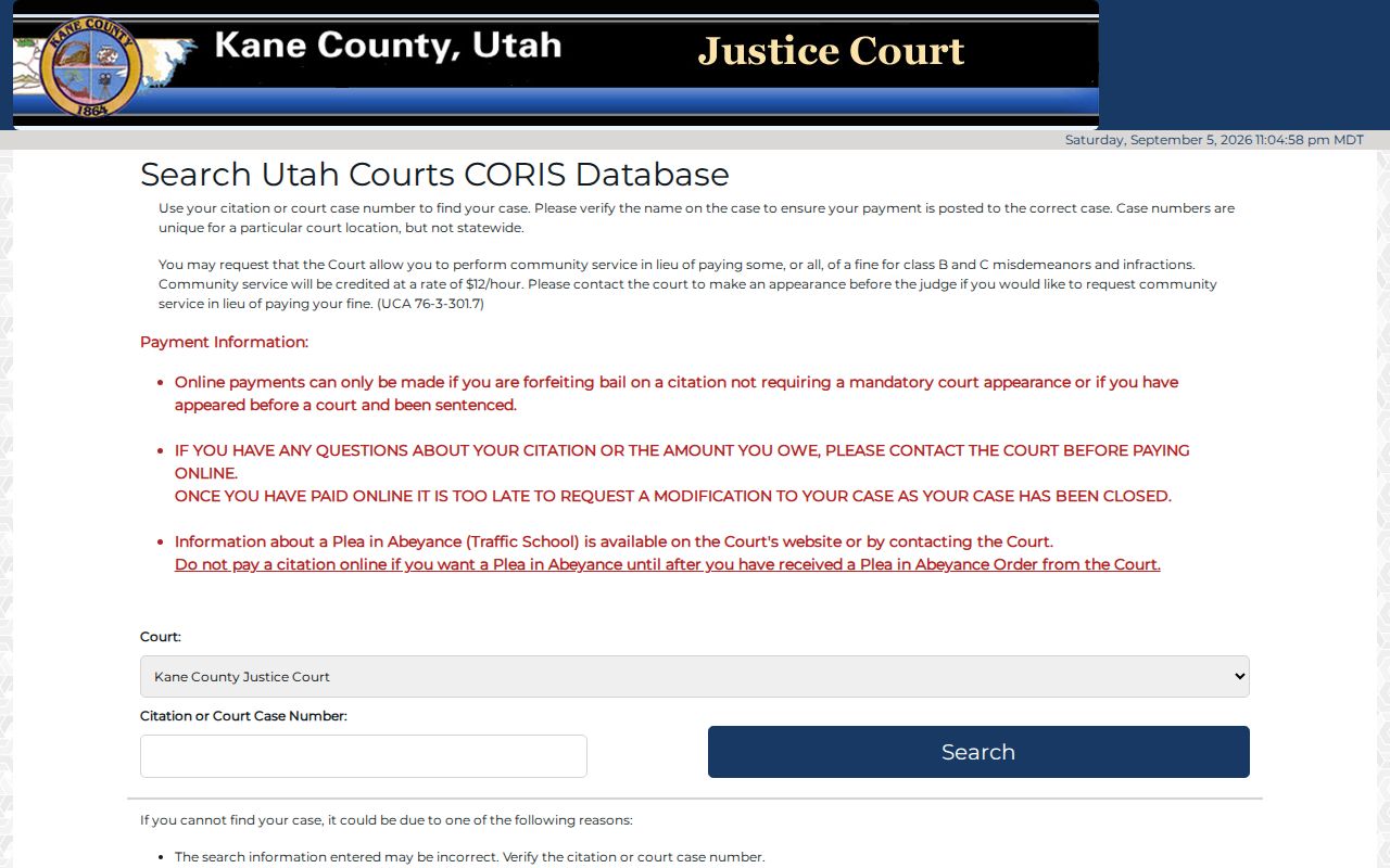 Kane County traffic ticket lookup with court and citation fields